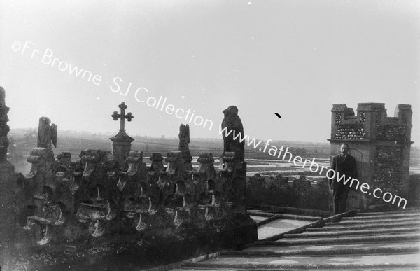 FIGURES OF S. OF PORCH FROM S.AISLE ROOF